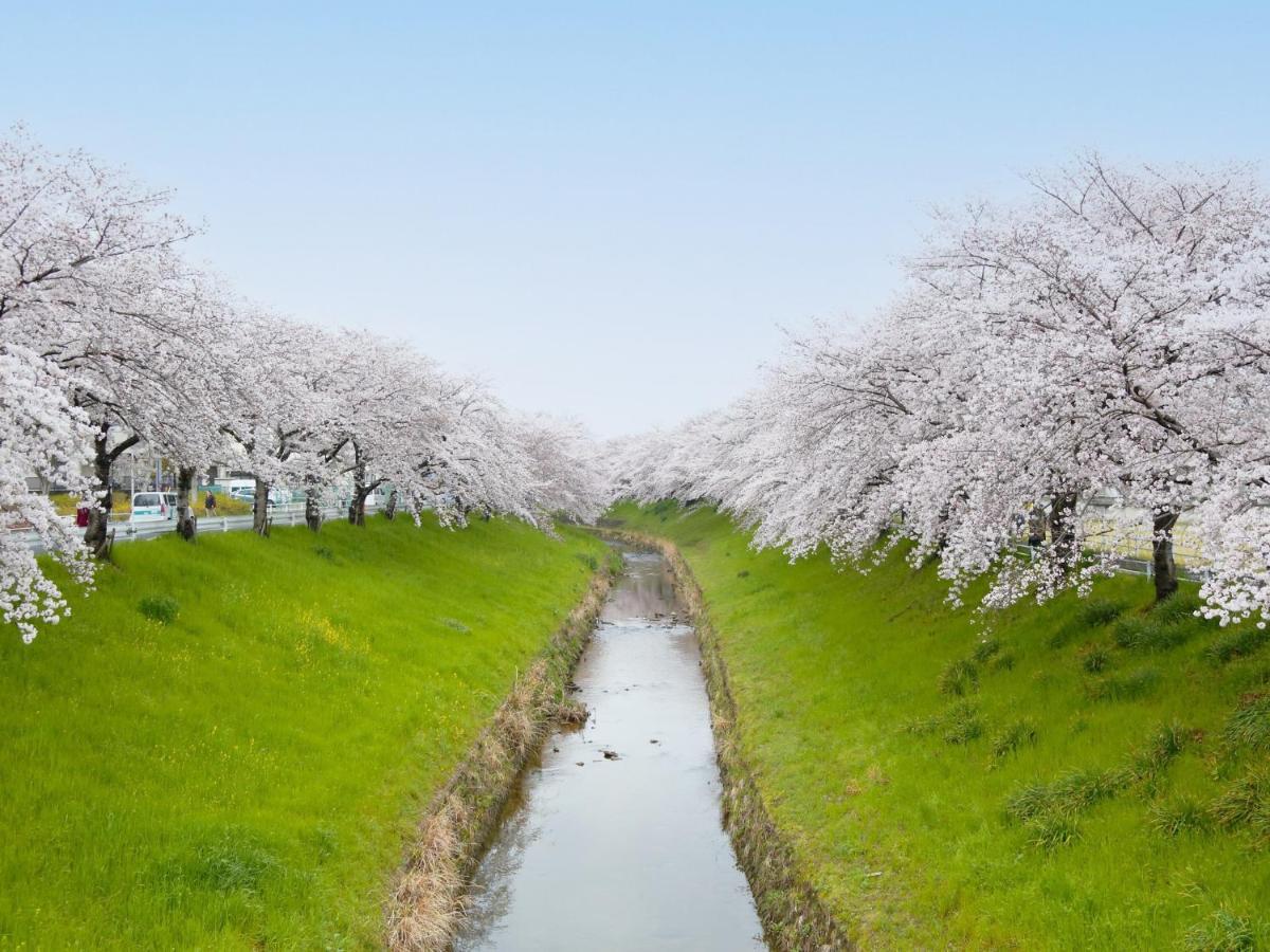 Hotel Nikko Нара Экстерьер фото Cherry blossoms in full bloom in Japan