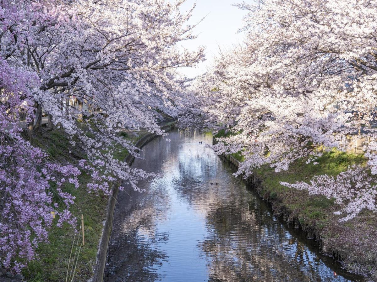 Hotel Nikko Нара Экстерьер фото Cherry blossoms in full bloom in Japan